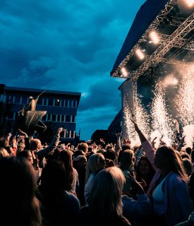 A large gathering of people enjoying a festive concert on a sunny day, their joy and delight illuminated by fireworks in the evening sky